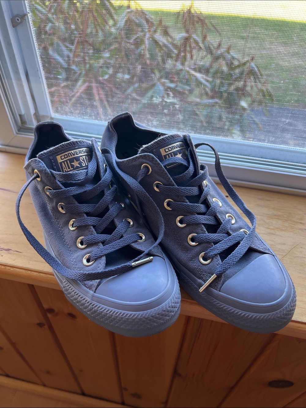 Converse All Star Low Top Sneakers in Blue